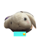 うたぎさん（個別スタンプ：6）