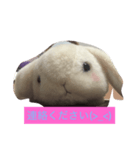 うたぎさん（個別スタンプ：8）
