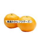 みかんブラザーズ！（個別スタンプ：1）