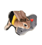 仲良しうさぎのきなちゃんあんちゃん（個別スタンプ：8）
