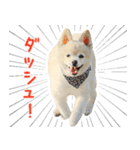 モコのスタンプ（個別スタンプ：25）