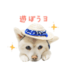 モコのスタンプ（個別スタンプ：32）