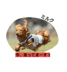 タケムラ（個別スタンプ：1）