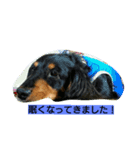 タケムラ（個別スタンプ：2）