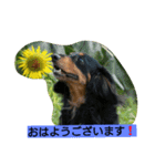 タケムラ（個別スタンプ：3）