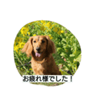 タケムラ（個別スタンプ：4）
