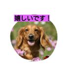 タケムラ（個別スタンプ：5）