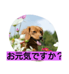 タケムラ（個別スタンプ：6）