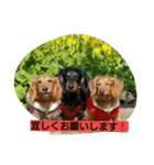 タケムラ（個別スタンプ：8）