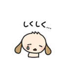 こどもわんこ【家族連絡用】（個別スタンプ：26）