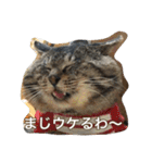 のリトラじるし（個別スタンプ：1）