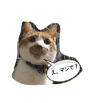 のリトラじるし（個別スタンプ：3）