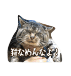 のリトラじるし（個別スタンプ：8）