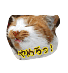 のリトラじるし（個別スタンプ：14）