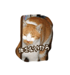 のリトラじるし（個別スタンプ：15）