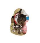 のリトラじるし（個別スタンプ：19）