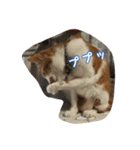 のリトラじるし（個別スタンプ：27）