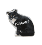のリトラじるし（個別スタンプ：30）