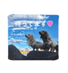 ダックスの ののりり（個別スタンプ：10）