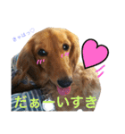 ダックスの ののりり（個別スタンプ：14）
