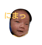 こうだいです（個別スタンプ：14）