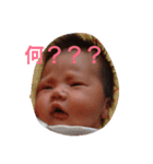 こうだいです（個別スタンプ：16）