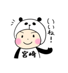 パンダ宮崎（個別スタンプ：1）
