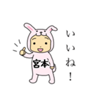 ラビット宮本（個別スタンプ：1）