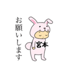 ラビット宮本（個別スタンプ：5）