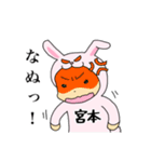 ラビット宮本（個別スタンプ：22）