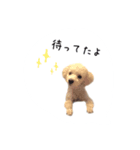 といぷーはっさく（個別スタンプ：1）