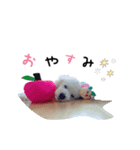といぷーはっさく（個別スタンプ：2）