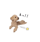 といぷーはっさく（個別スタンプ：4）