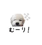 といぷーはっさく（個別スタンプ：8）