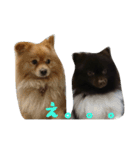 チロルとチョコの仲間たち❤️パート4（個別スタンプ：12）
