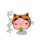 cat momojiro（個別スタンプ：4）