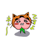 cat momojiro（個別スタンプ：11）