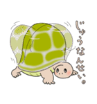 日ごろのかめガメ（個別スタンプ：2）