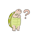 日ごろのかめガメ（個別スタンプ：6）