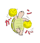 日ごろのかめガメ（個別スタンプ：11）