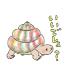 日ごろのかめガメ（個別スタンプ：14）
