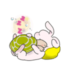 日ごろのかめガメ（個別スタンプ：16）