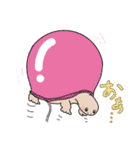 日ごろのかめガメ（個別スタンプ：17）