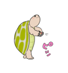 日ごろのかめガメ（個別スタンプ：18）