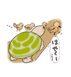 日ごろのかめガメ（個別スタンプ：19）