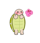 日ごろのかめガメ（個別スタンプ：22）