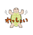 日ごろのかめガメ（個別スタンプ：23）