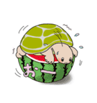 日ごろのかめガメ（個別スタンプ：24）