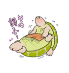 日ごろのかめガメ（個別スタンプ：28）