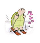 日ごろのかめガメ（個別スタンプ：30）